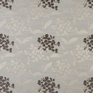 Hydrangea Praline